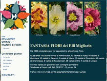 Tablet Screenshot of fantasiafiori.com